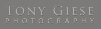 Tony Giese Photography