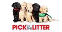 Pick of the Litter
