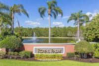Royal Palm