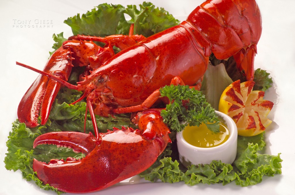 Main-Lobster-Food-1024x678-1.jpg