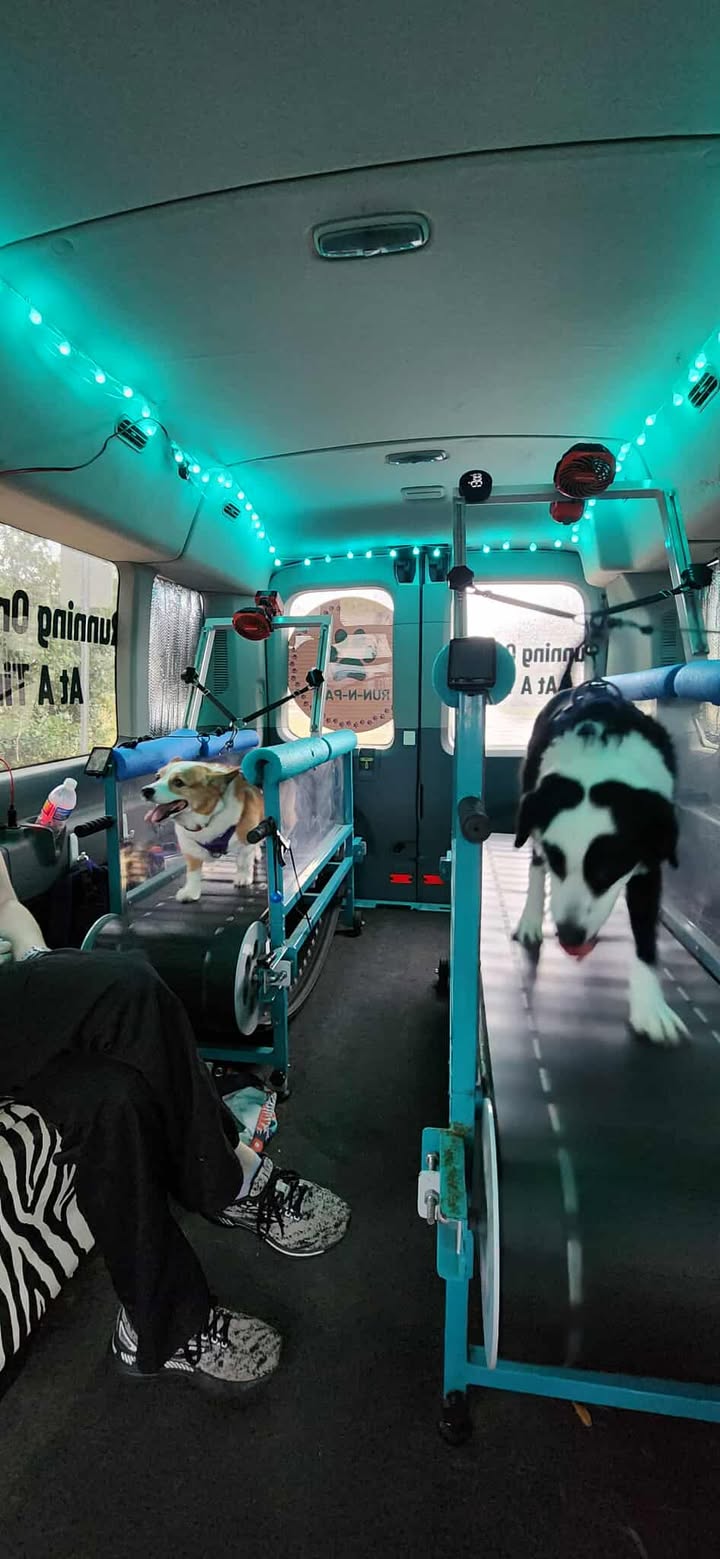 525416783_1422055819033984_902876148071304767_n