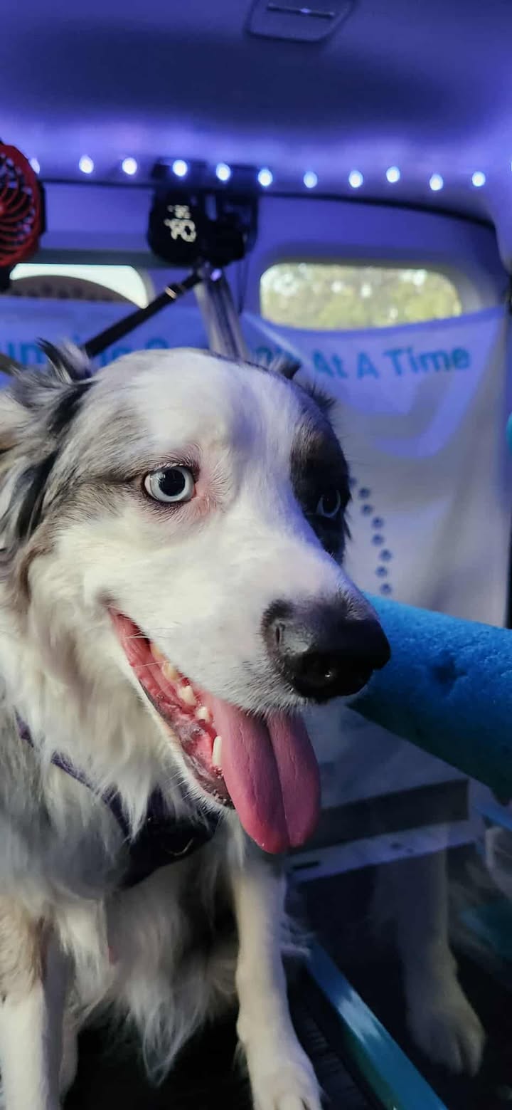 525497716_1549379323095972_337878964343755009_n