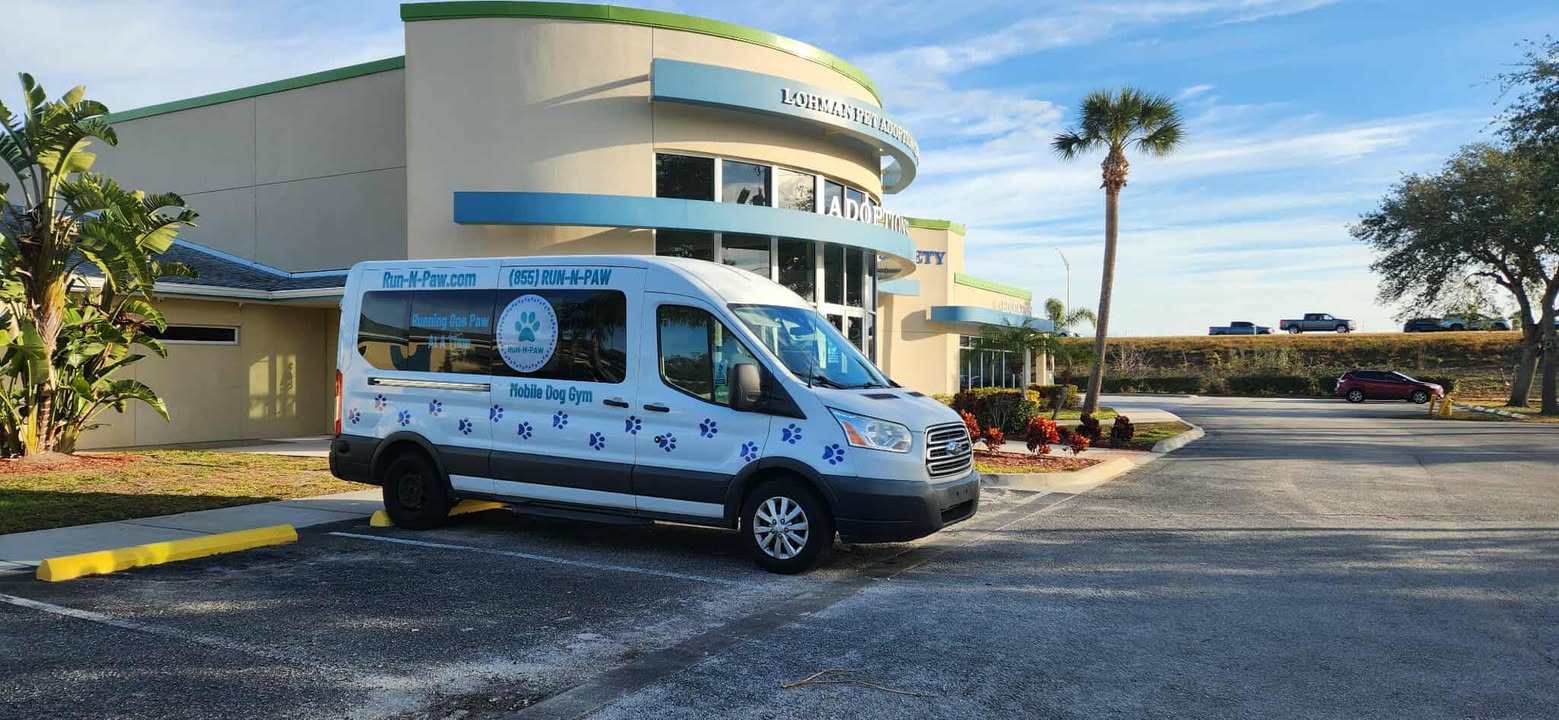 526237014_1787900965147682_5995824359733003141_n