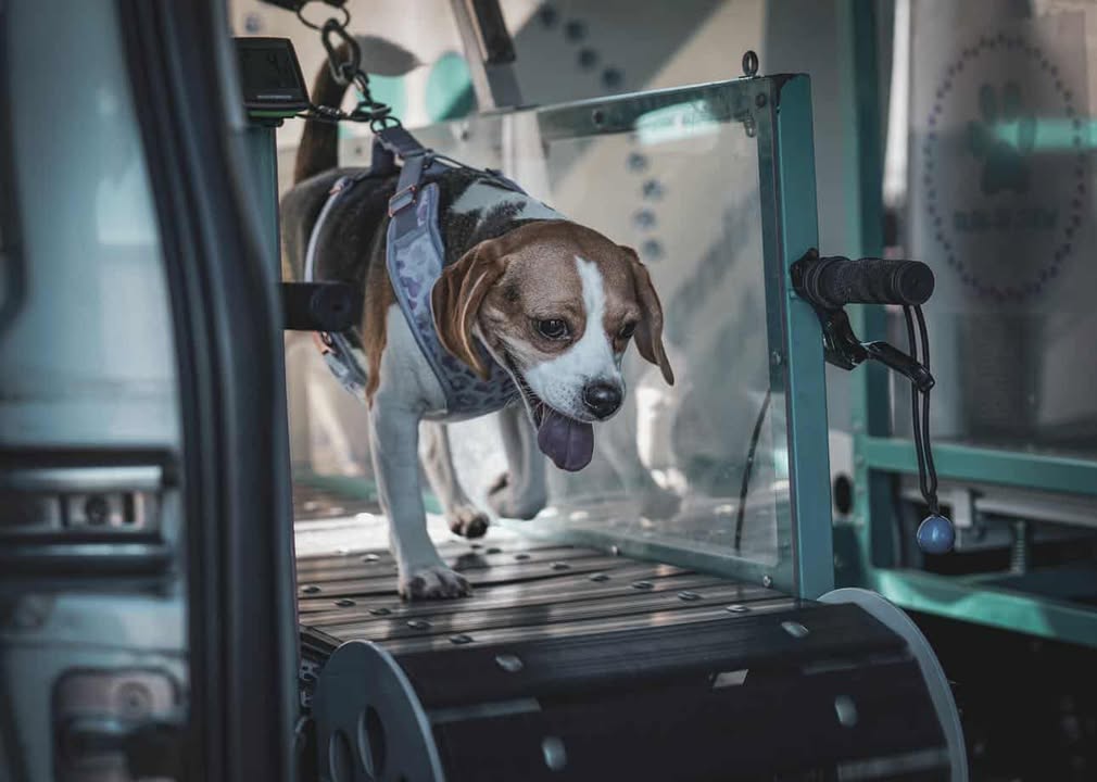 526289484_1820320118892572_6851361719901789255_n