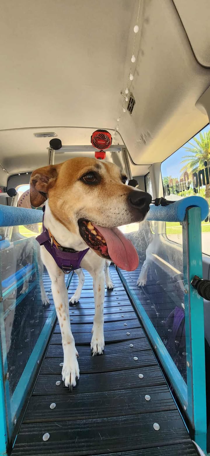 526389813_1775097019801445_3579529976663084613_n