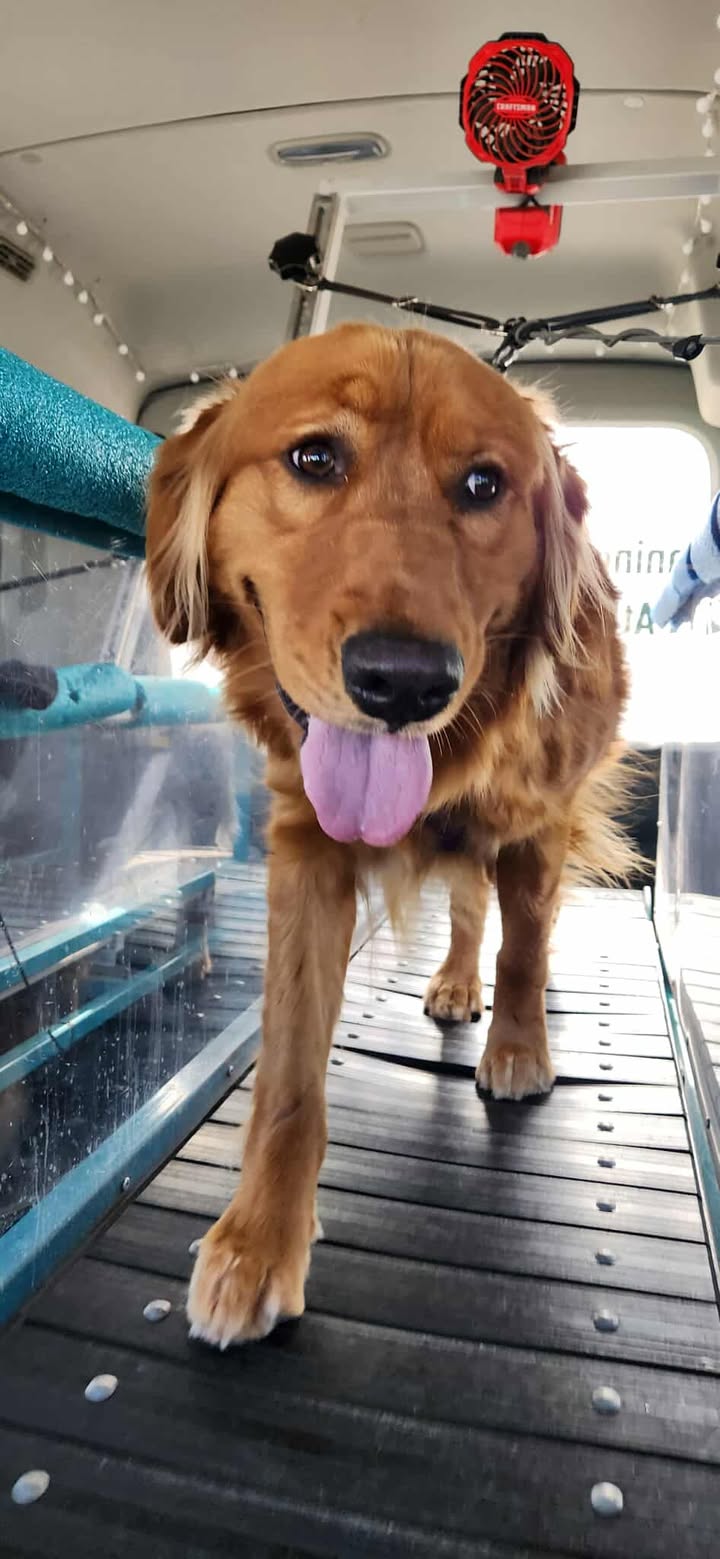 526639021_1095745388668037_966123681608859523_n