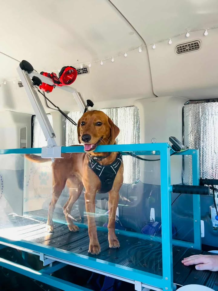 527324969_710952608603371_1802337887792494097_n