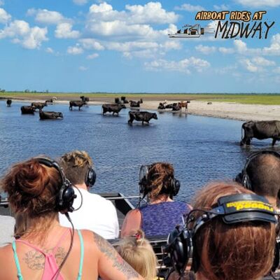 Get back to learning about nature with an Airboat Tour from Airboat Rides at Midway.